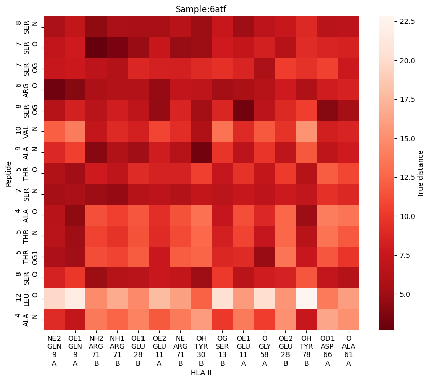 ../_images/notebooks_test_antigenHLAII_33_1.png